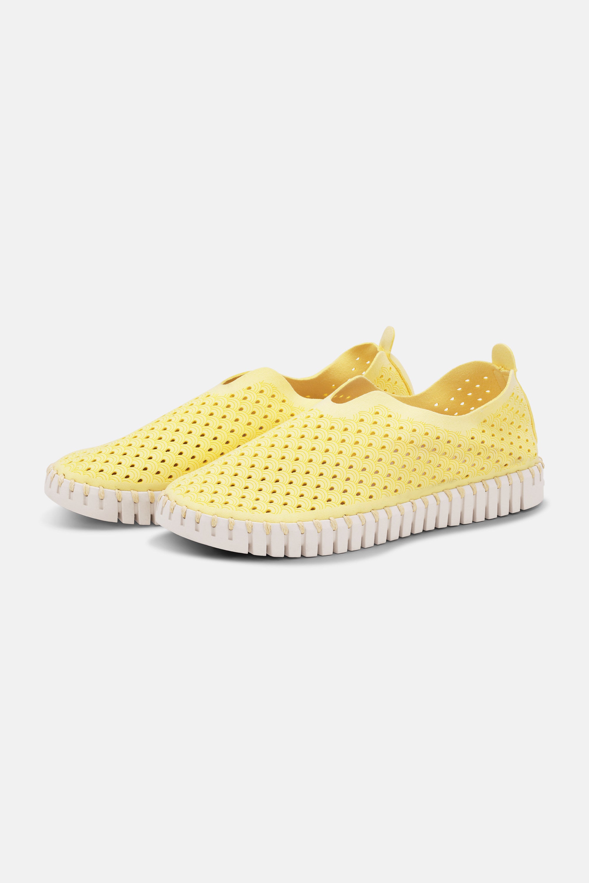 Tulip Flats - Lemon Drop